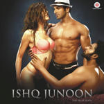 Ishq Junoon (2016) Mp3 Songs